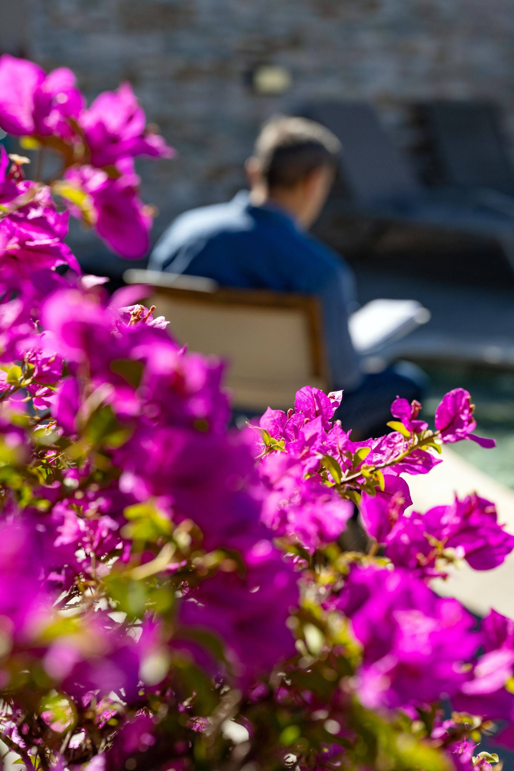 Terrasse et bougainvillier — Up'In YourLife, La Croix-Valmer